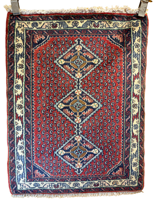 Descriptive image text