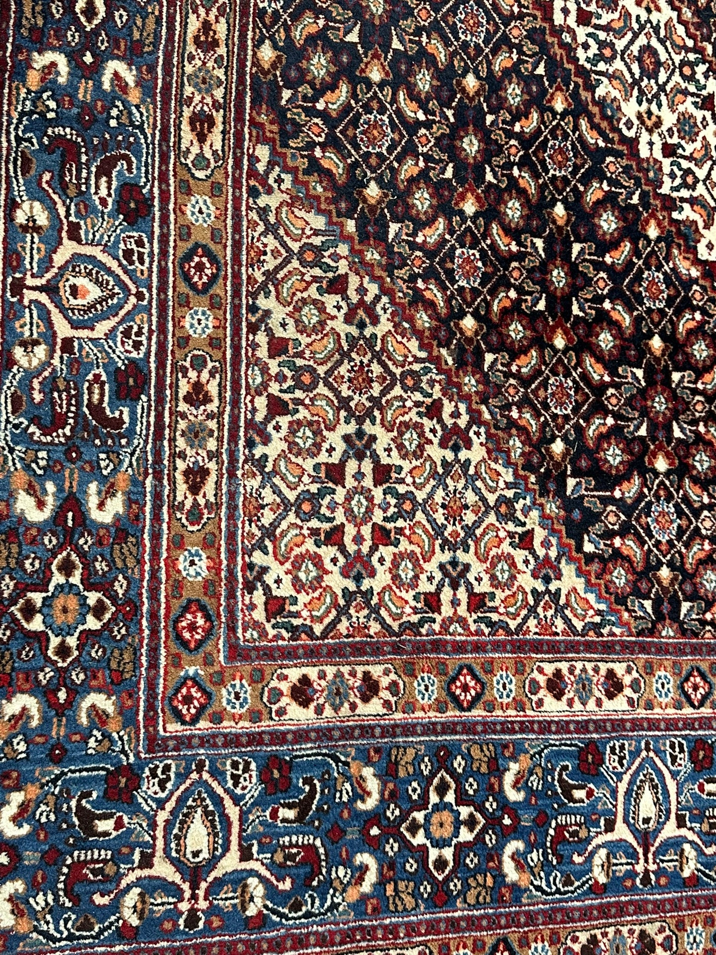 Orientteppich handgeknüpft Bidjar 315x217 cm