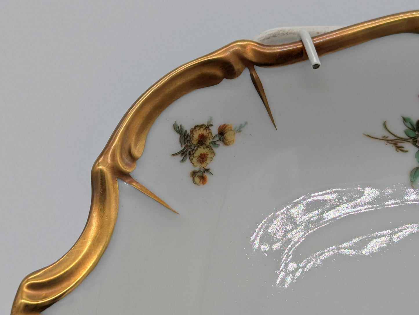 Edelstein Bavaria Porzellan Wandteller Handarbeit Blumendekor vergoldet