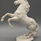 Hutschenreuther Porzellan Figur Steigendes Pferd von G. Granget
