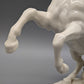 Hutschenreuther Porzellan Figur Steigendes Pferd von G. Granget