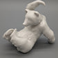 Meissen Bär Weiß Verspielte Porzellan Figur Meissener Porzellan