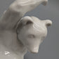 Meissen Bär Weiß Verspielte Porzellan Figur Meissener Porzellan