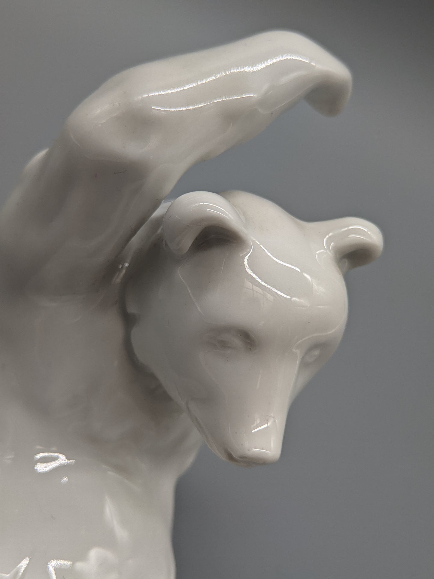 Meissen Bär Weiß Verspielte Porzellan Figur Meissener Porzellan