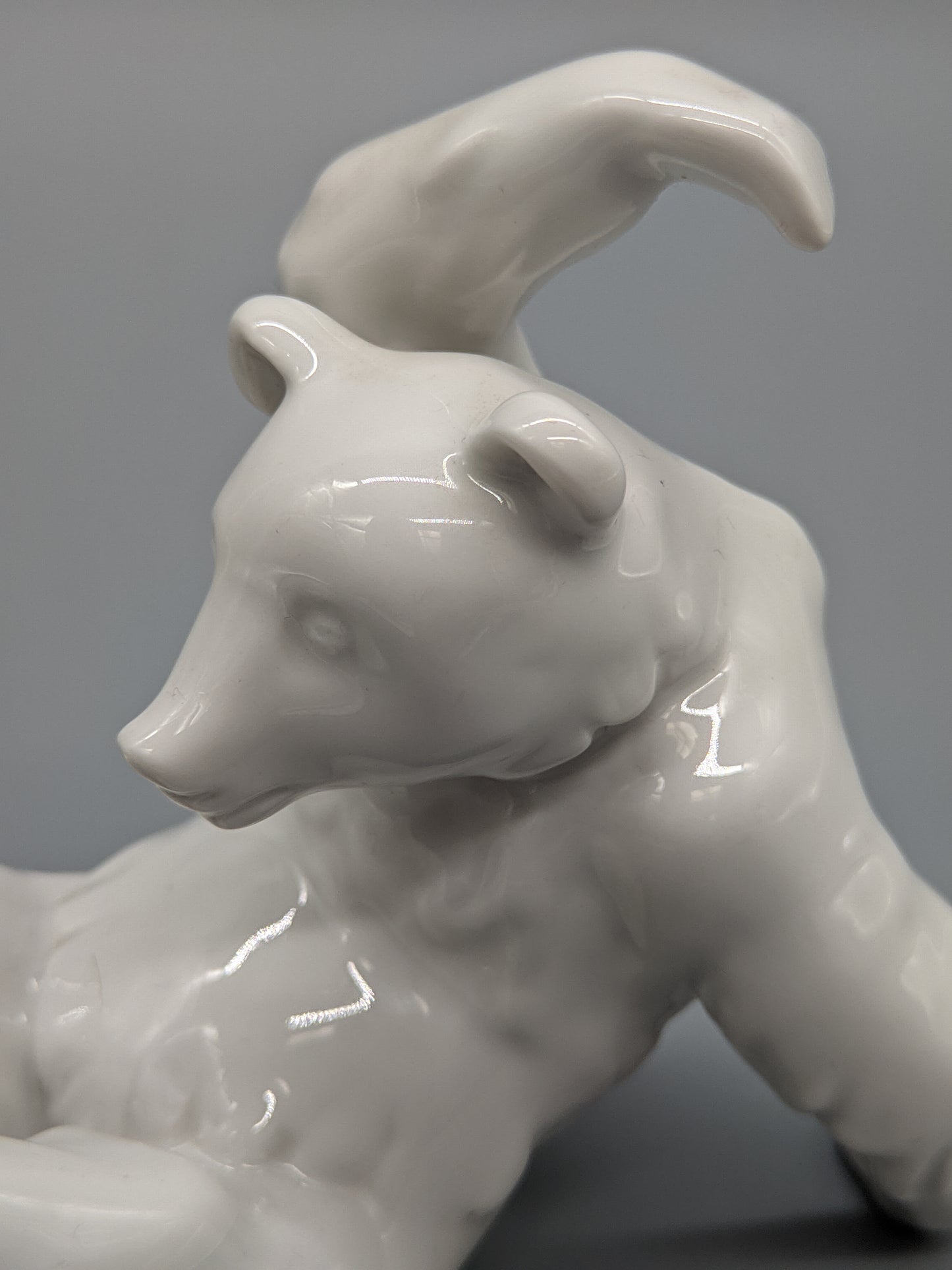 Meissen Bär Weiß Verspielte Porzellan Figur Meissener Porzellan