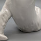 Meissen Bär Weiß Verspielte Porzellan Figur Meissener Porzellan