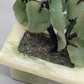 Asiatischer Edelstein Bonsai Baum Kunstvoller Jade und Karneol Dekobaum